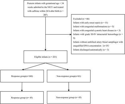 Association between PER and CRY gene polymorphisms and the response to caffeine citrate treatment in infants with apnea of prematurity